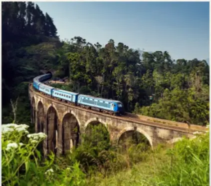 Sri Lanka Tour Packages – Explore the Best of the Island in 2026