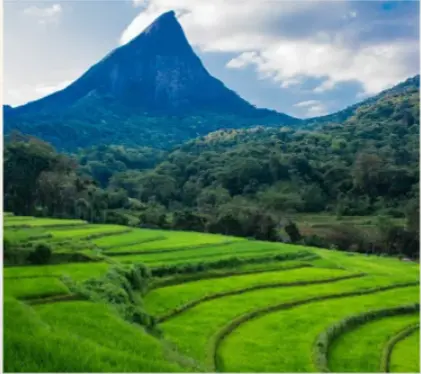 Best Nature and Adventure