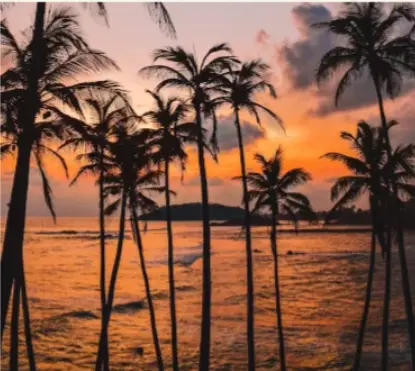Discover Coastal and Scenic Wonders: of Sri Lanka Seasonal Activities Across Every Shoreline
