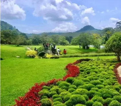 Visit the Breathtaking 5 Botanical Gardens in Sri Lanka!