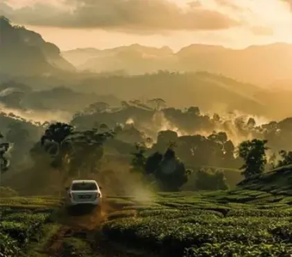 Hire a Personal Driver in Sri Lanka for Private Tours: 2025