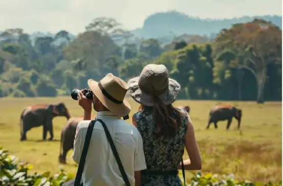 The Pros and Cons of Hiring A Tour Guide in Sri Lanka